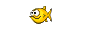 fisch fisch